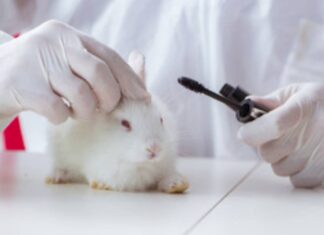 A Beginner’s Guide to Consumer Advocacy for Beauty Vloggers