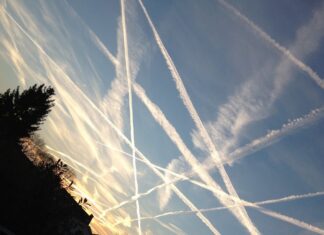 Conspiracy Theory: How Online Video Became Our Most Honest Voice