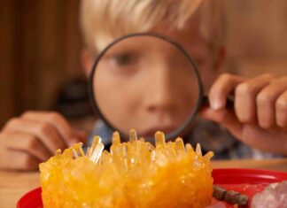 From YouTube to the Classroom: Expanding Your Educational Content