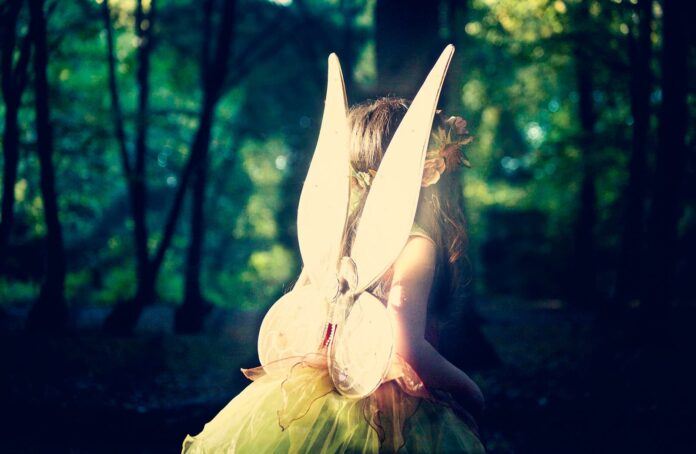 1_v-e44LxWIRFnNDbf2mdGIQ