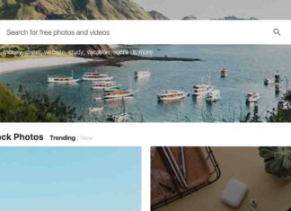 High-quality content at zero budget: A creator’s guide to free assets
