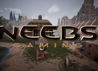 Comedy, Community and Survival: a Conversation With Neebs Gaming